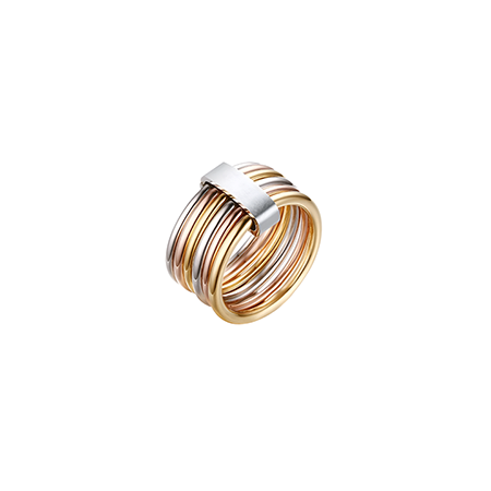 Harmony Haven Ring Gold Two Toned