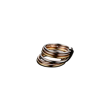 Harmony Haven Ring Gold Two Toned